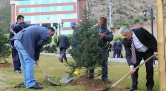 Gümüşhane Üniversitesinde Bin Fidan Toprakla Buluştu