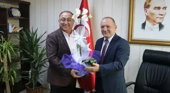 Yalova'dan Kısa Kısa