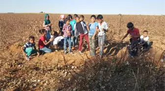 'Tohum'u Kitaptan Öğrenip Hayata Geçirdiler