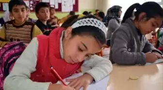 Ortak Kültürel Değerlerle Rahatlıyorlar