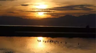 Beyşehir Gölü'nün Sonbahar Konukları Göç Etti