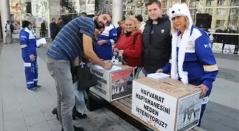 Hayvanat Bahçesini Protesto Ettiler