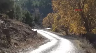 Kemer'de Dağ Bisikleti Rallisi'nde Ikinci Gün