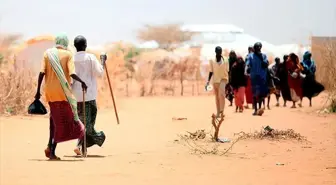 Afrika 'Gizli Utancını' Konuşuyor