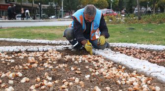 Elazığ Belediyesi, Rengarenk Bir Bahar İçin Çalışmalara Başladı