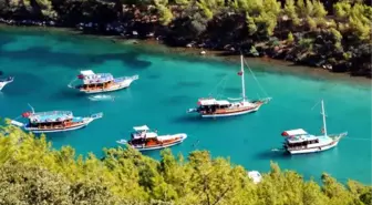 Bodrum'dan O Plana Eleştiri