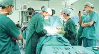 Türkiye'de Her Yıl 2 Bin Kişi Organ Nakli Beklerken Ölüyor