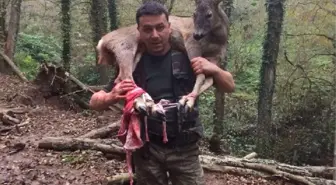 Yaralı Karacayı Omzunda Taşıyan Avcıya Övgü