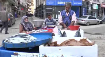 Çinekop Bolluğu Seyyar Satıcıların Yüzünü Güldürdü