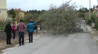 Kuzey Ege'de Fırtına