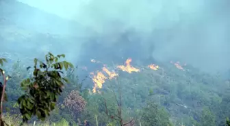 Güncelleme - Tokat'ta Orman Yangını