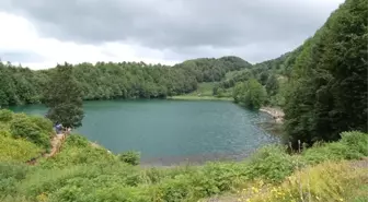 Ordu Gölköy Neden Türkiye'nin En Uzun Ömürlü İlçesi?