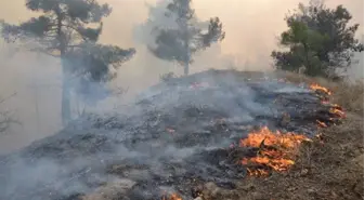 Dha Yurt Bülteni - 18