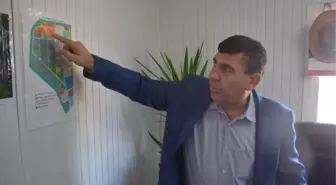 Organize Sorunlar Bölgesi'
