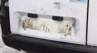 Plaka Hırsızları Aranıyor