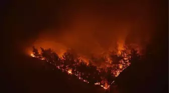 Tokat'ta Orman Yangını (2)