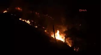 Tokat'ta Orman Yangını