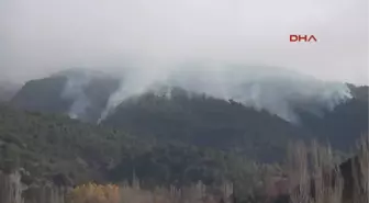 Tokat'ta Orman Yangını Kontrol Altına Alındı