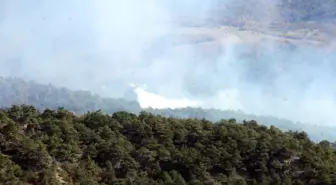 Tokat'ta Orman Yangını Kontrol Altına Alındı