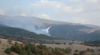 Tokat'taki Orman Yangınına Uçakla Müdahale Ediliyor