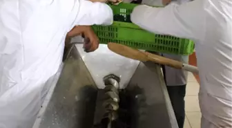 Üniversite Öğrencileri Hardaliye Üretimine Başladı