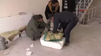 Yolda Bulduğu Ayağı Kırık Kediyi Veterinere Götürdü