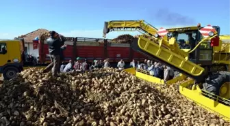 Mauslar Sayesinde Yılda 150 Dekar Arazi Tarıma Yeniden Kazandırılıyor