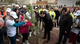 Öğrenciler Kesilen Ağaçların Yerine Karaçam Fidanı Dikti