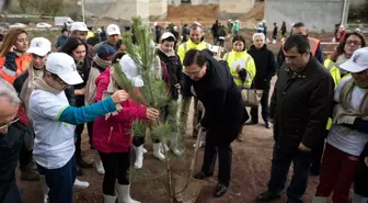 Öğrenciler Kesilen Ağaçların Yerine Karaçam Fidanı Dikti