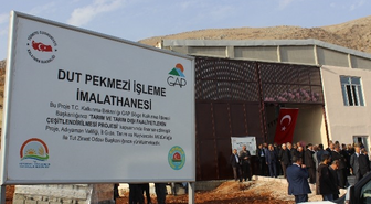 Dut Pekmezi İşleme İmalathanesi Tut İlçesine Ekonomik Girdi Sağlayacak