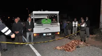 Dha Yurt Bülteni - 18