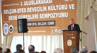 Uluslararası Selçuk-Efes Devecilik Kültürü ve Deve Güreşleri Sempozyumu Başladı