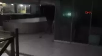 Adana - Tombalacı Holdinge Baskın