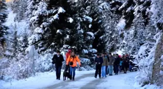 Organ Bağışında Farkındalık İçin Doğa Yürüyüşü