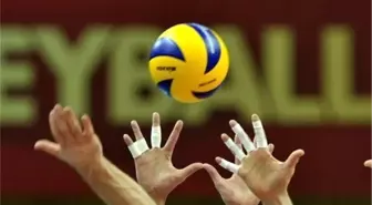 Voleybol: Efeler Ligi