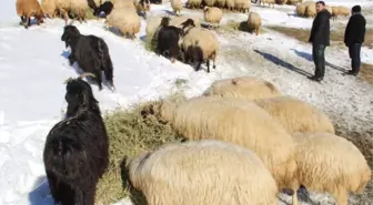 Besiciler, Zorlu Kış Mesaisine Başladı