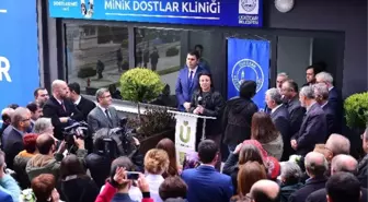 Üsküdar'da Sokak Hayvanlarına Özel Klinik Açıldı