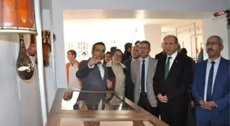 Müzik Öğretmeninden Çalgı Koleksiyonu Sergisi