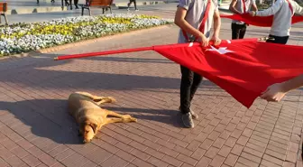 24 Kasım Öğretmenler Günü