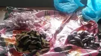 Dha İstanbul Bülteni - 1