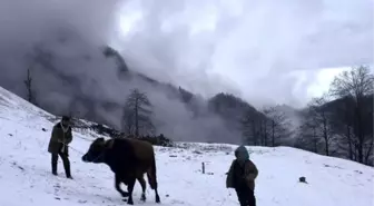 Kalandar Soğuğu'na Apsa'dan 3 Ödül