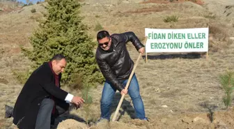 Mihaliççık'ta Öğretmenler Fidan Dikti