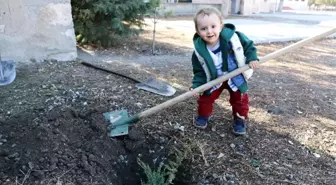 Fidanlar Bizden, Dikmesi Sizden' Projesi Seyitgazi'de