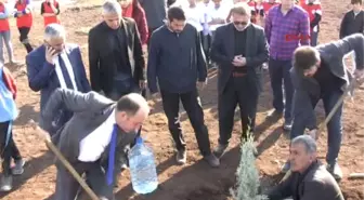 Mardin Ismi Anadalu Lisesine Verilen Şehit Kaymakam Safitürk Için 600 Fidan Dikildi