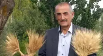 Milli Buğday' Üreticisine Fetö Baskısı İddiası