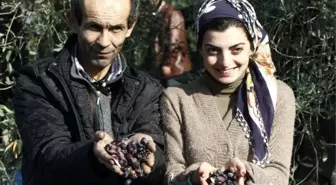 Dünya Zeytin Günü'ne Prim Desteği Damgasını Vurdu