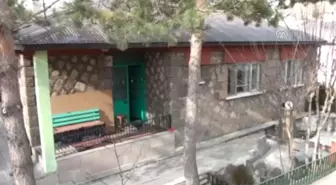Eşinin Antika Merakından Şikayetçi