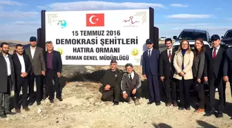 15 Temmuz Şehitleri Hatıra Ormanı