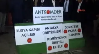 Antalyalı Çiftçi Domatesin Cenaze Namazını Kıldı, İsyan Etti