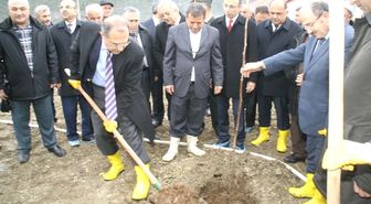 Devrek'te Örnek Kapama Ceviz Bahçesi